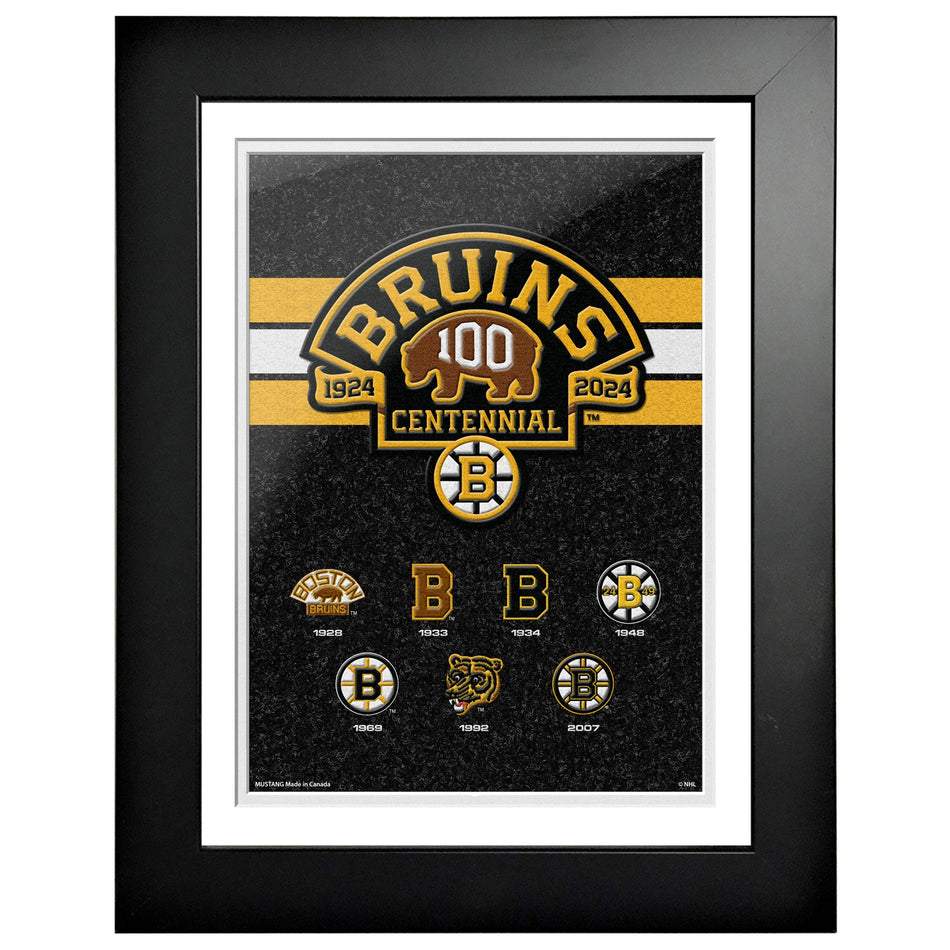 Boston Bruins 100th Anniversary Frame - 12" x 16" Logos to History