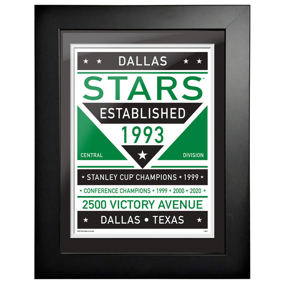 Dallas Stars 12 x 16 Dual Tone Framed Sign