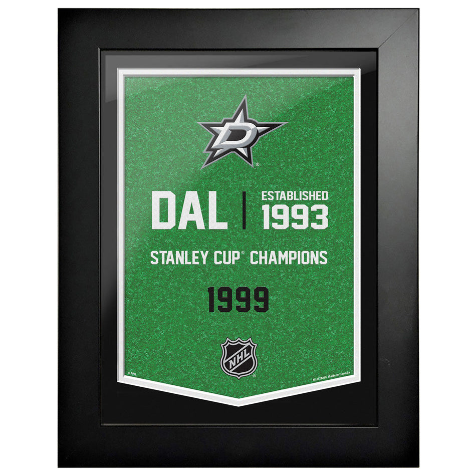 Dallas Stars 12 x 16 Empire Framed Sign